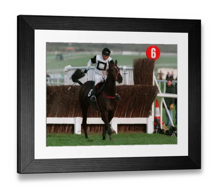 Framed Print : Superior Finish Framed Print : Superior Finish