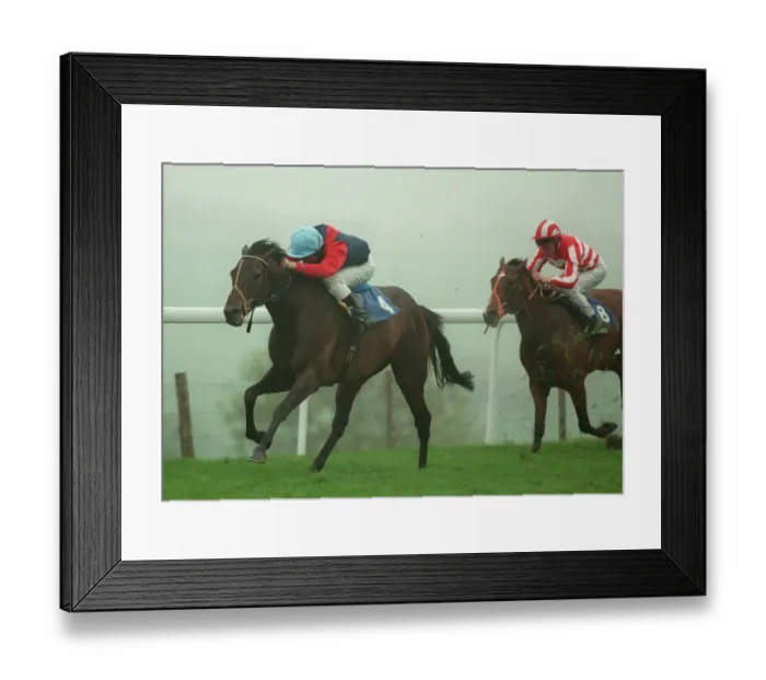 Framed Print : Captain Horatio (T. Quinn) Framed Print : Captain Horatio (T. Quinn)