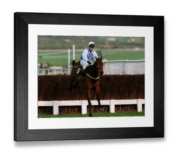 Framed Print : Its A Cracker Framed Print : Its A Cracker