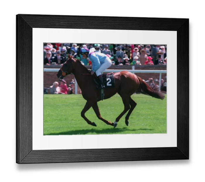 Framed Print : Swing Low (Richard Quinn) Framed Print : Swing Low (Richard Quinn)