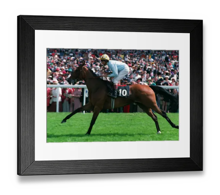 Framed Print : Sought Out (Cash Asmussen) Framed Print : Sought Out (Cash Asmussen)