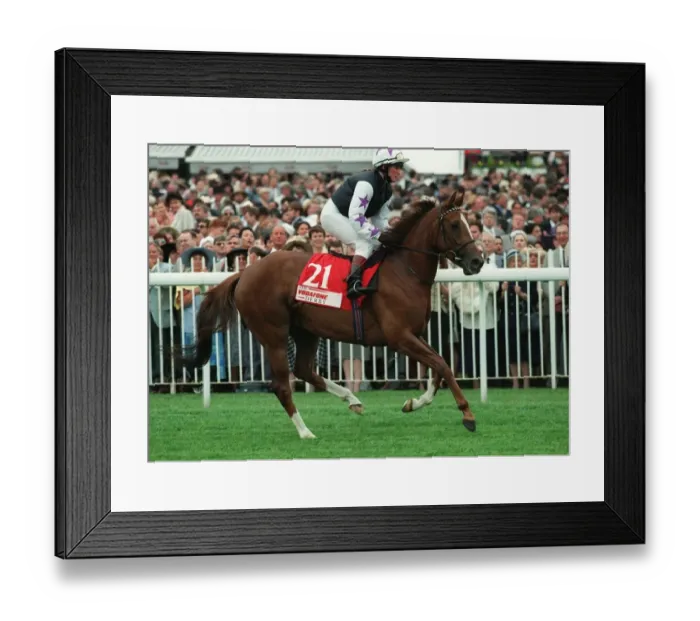 Framed Print : Portuguese