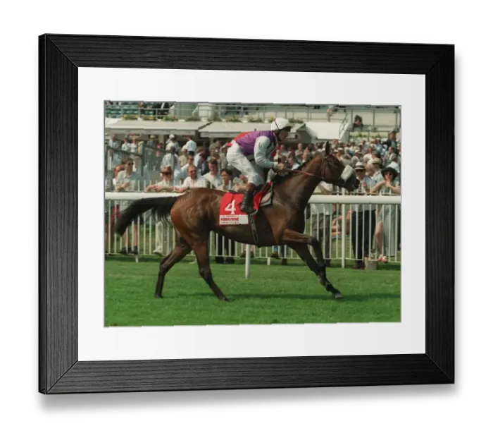 Framed Print : Honest Guest