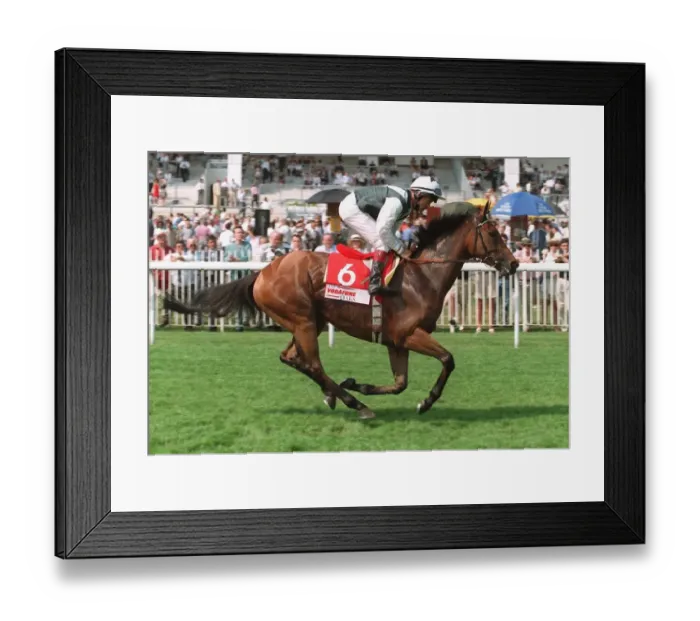 Framed Print : Lady Carla Framed Print : Lady Carla
