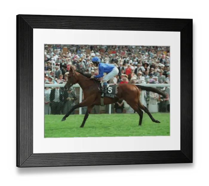 Framed Print : Mark Of Esteem