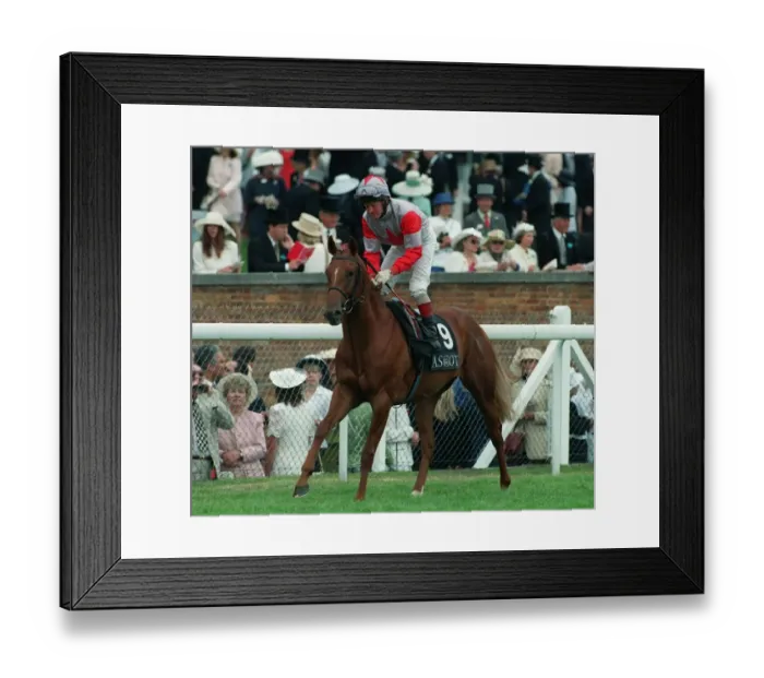 Framed Print : Roman Imp Ridden By M.Kinane 09 July 1996 Date: 09 July 1996 Framed Print : Roman Imp Ridden By M.Kinane 09 July 1996 Date: 09 July 1996