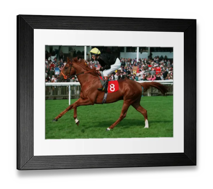 Framed Print : Redenham Ridden By Lester Piggott 18 April 1993 Date: 18 April 1993 Framed Print : Redenham Ridden By Lester Piggott 18 April 1993 Date: 18 April 1993