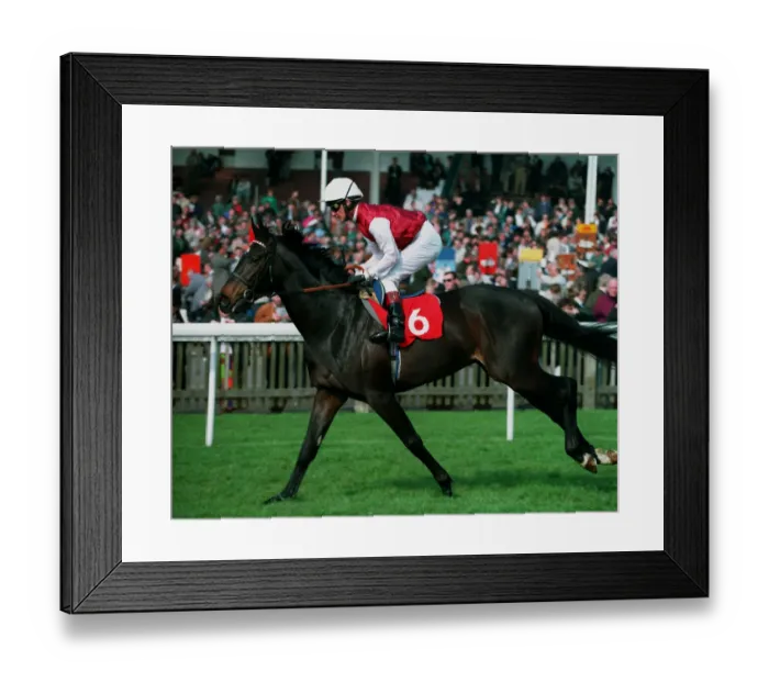 Framed Print : Emperor Jones Framed Print : Emperor Jones