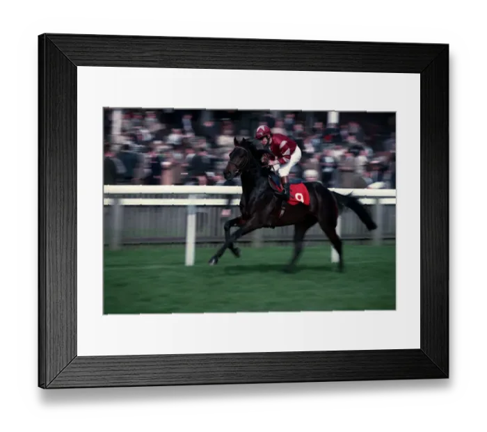Framed Print : Ventiquattrofogli Framed Print : Ventiquattrofogli