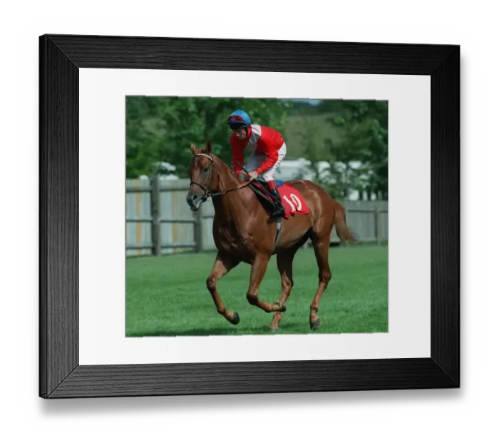 Framed Print : Pivotal Ridden By G. Duffield 18 September 1996 Date: 18 September 1996 Framed Print : Pivotal Ridden By G. Duffield 18 September 1996 Date: 18 September 1996