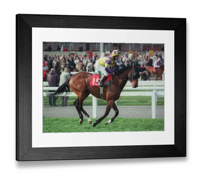 Framed Print : Artful Dane