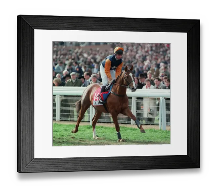 Framed Print : Palamon Ridden By T.T.J Murphy 27 March 1997 Date: 27 March 1997 Framed Print : Palamon Ridden By T.T.J Murphy 27 March 1997 Date: 27 March 1997