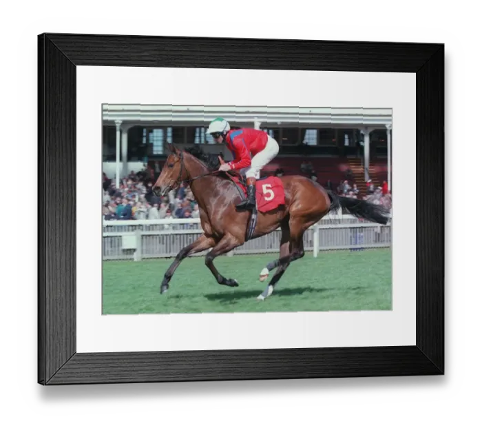 Framed Print : Elegant Warning Framed Print : Elegant Warning