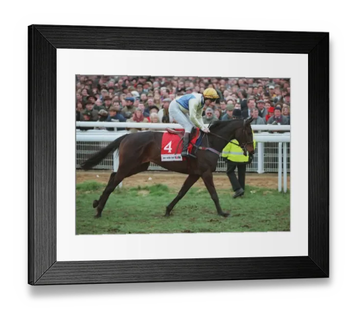 Framed Print : Imperial Call