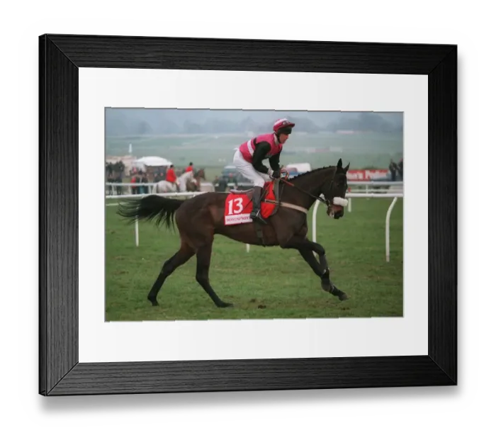 Framed Print : Solo Gent Racehorse 11 April 1996 Date: 11 April 1996