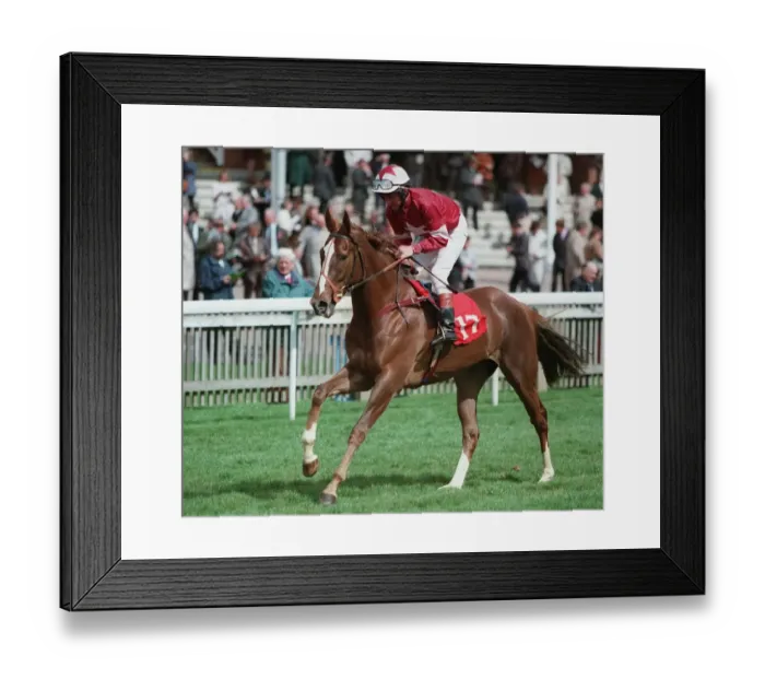 Framed Print : Young Annabel Framed Print : Young Annabel