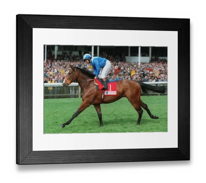 Framed Print : Alhaarth Ridden By Willie Carson 06 May 1996 Date: 06 May 1996 Framed Print : Alhaarth Ridden By Willie Carson 06 May 1996 Date: 06 May 1996