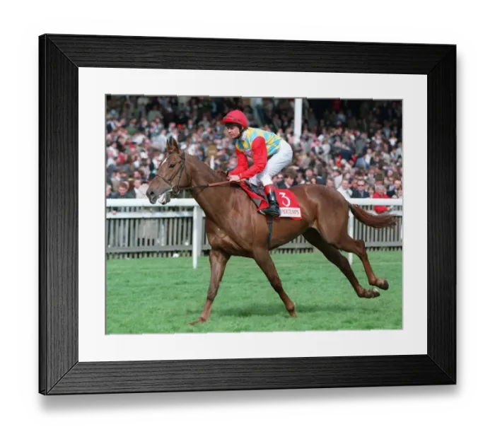 Framed Print : Bijou D Inde Framed Print : Bijou D Inde