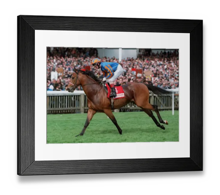 Framed Print : Danehill Dancer Framed Print : Danehill Dancer