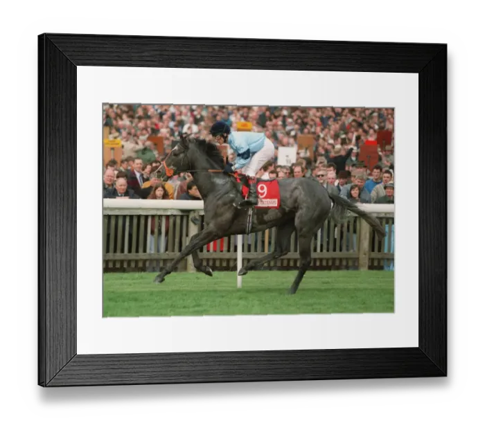 Framed Print : Regiment Ridden By Kevin Darley 06 May 1996 Date: 06 May 1996 Framed Print : Regiment Ridden By Kevin Darley 06 May 1996 Date: 06 May 1996