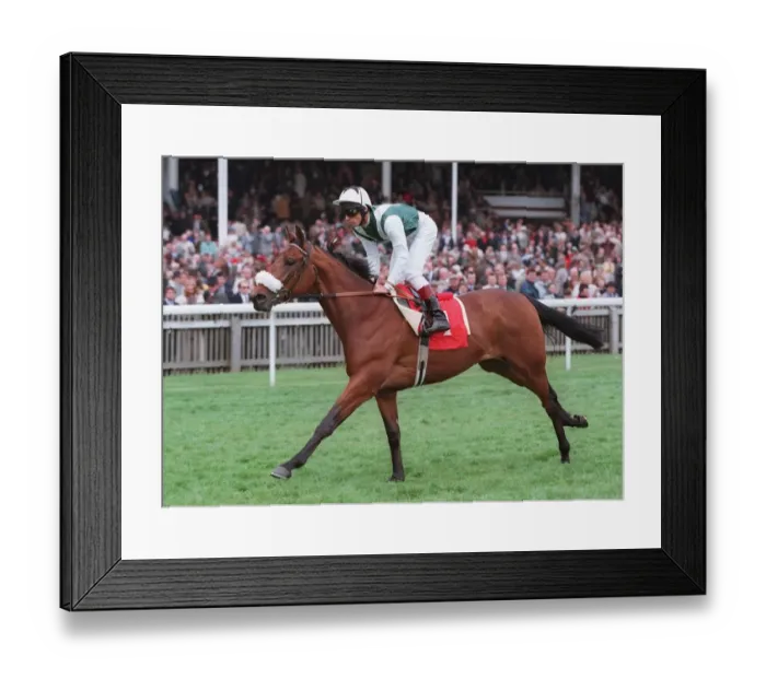 Framed Print : Abou Zouz Ridden By Lanfranco Dettori 12 May 1996 Date: 12 May 1996