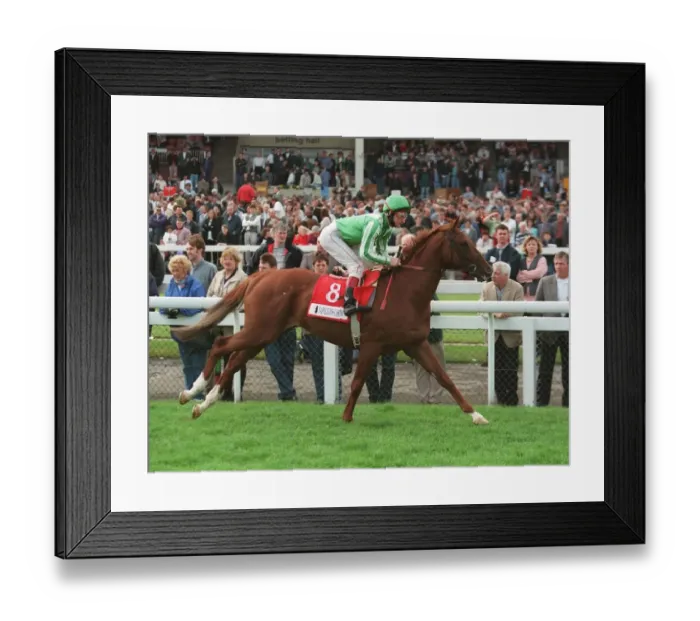 Framed Print : Kammtarra Ridden By Dean Mckeown 28 May 1996 Date: 28 May 1996 Framed Print : Kammtarra Ridden By Dean Mckeown 28 May 1996 Date: 28 May 1996