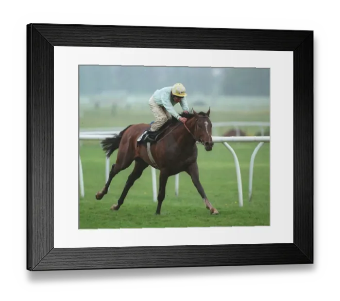 Framed Print : Election Day Framed Print : Election Day