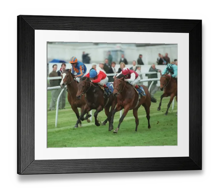 Framed Print : Keltoi, Ridden By M. Kinane Framed Print : Keltoi, Ridden By M. Kinane