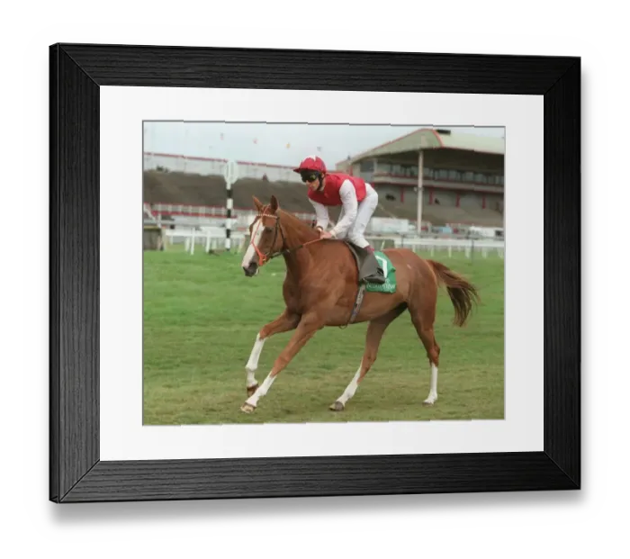 Framed Print : Sun Ballet Framed Print : Sun Ballet