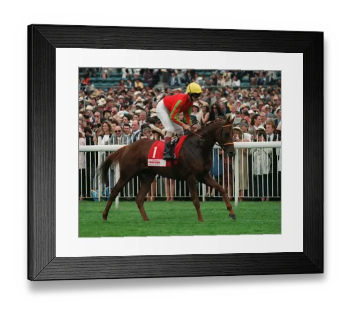 Framed Print : Acharne Ridden By Warren O`Conner 12 June 1996 Date: 12 June 1996