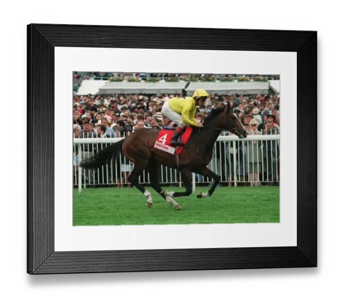 Framed Print : Cheif Contender Framed Print : Cheif Contender