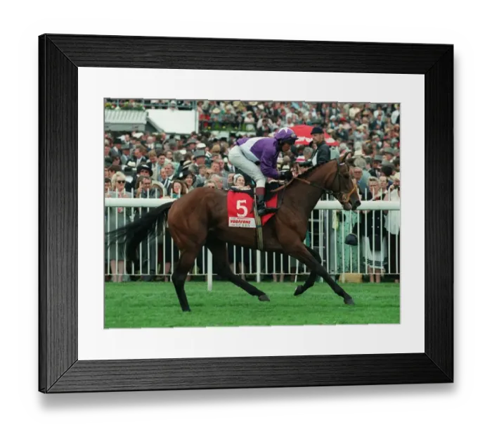 Framed Print : Classic Eagle Framed Print : Classic Eagle
