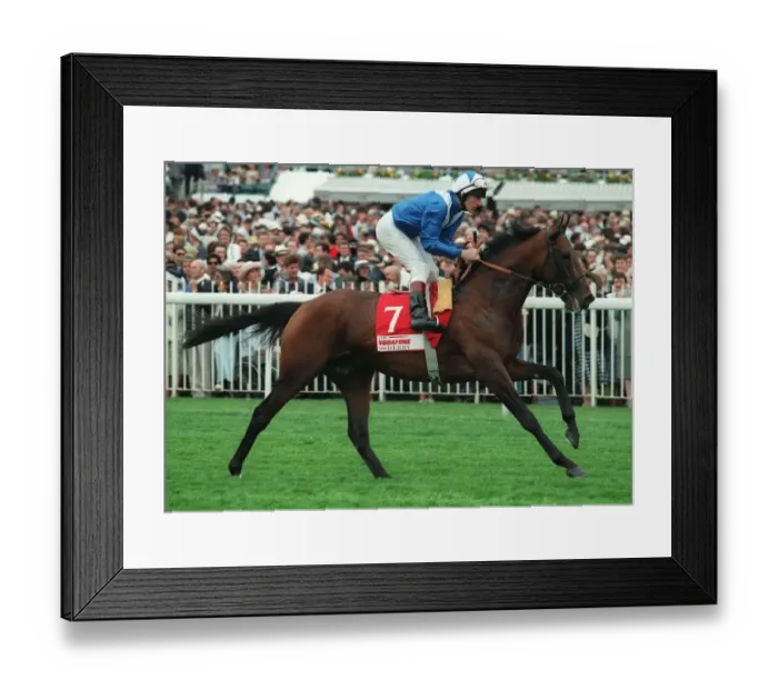 Framed Print : Double Leaf Framed Print : Double Leaf