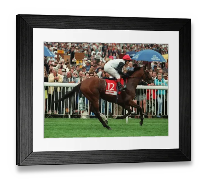 Framed Print : Mystic Knight Framed Print : Mystic Knight