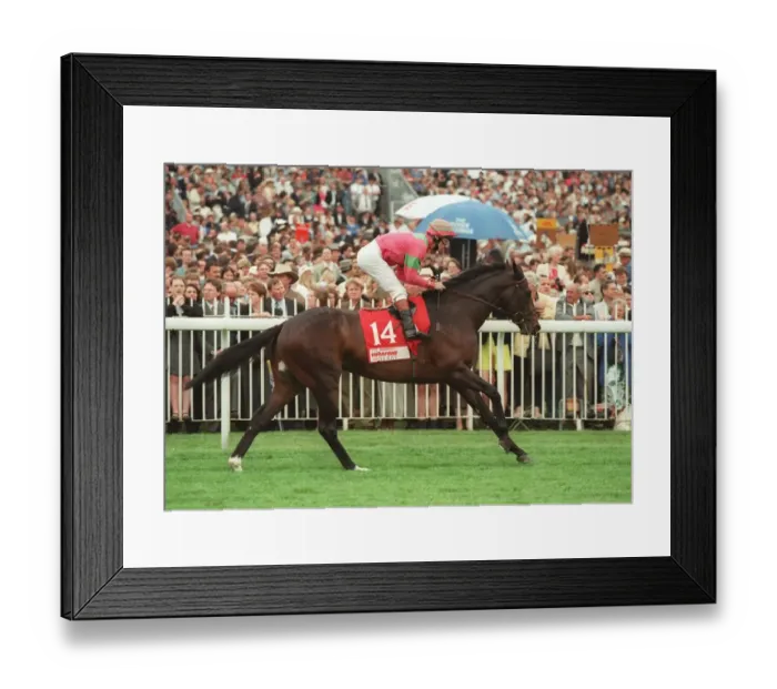 Framed Print : Shaamit Ridden By Michael Hills 12 June 1996 Date: 12 June 1996 Framed Print : Shaamit Ridden By Michael Hills 12 June 1996 Date: 12 June 1996
