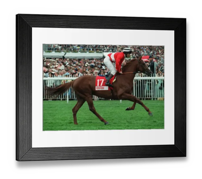 Framed Print : St Mawes Ridden By Tony Quinn 12 June 1996 Date: 12 June 1996 Framed Print : St Mawes Ridden By Tony Quinn 12 June 1996 Date: 12 June 1996