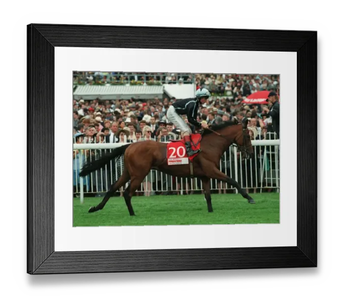 Framed Print : Zaforum Ridden By Dane O`Neil 12 June 1996 Date: 12 June 1996 Framed Print : Zaforum Ridden By Dane O`Neil 12 June 1996 Date: 12 June 1996
