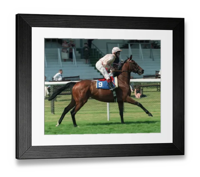 Framed Print : Sardonic Ridden By W.Ryan 25 June 1996 Date: 25 June 1996 Framed Print : Sardonic Ridden By W.Ryan 25 June 1996 Date: 25 June 1996