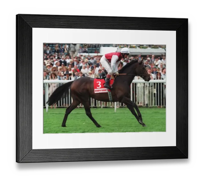 Framed Print : Singspiel Ridden By M.Kinane 26 June 1996 Date: 26 June 1996 Framed Print : Singspiel Ridden By M.Kinane 26 June 1996 Date: 26 June 1996