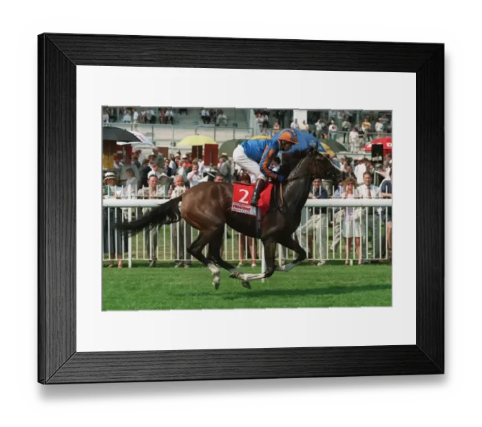 Framed Print : Camporese Ridden By J.Reid 26 June 1996 Date: 26 June 1996 Framed Print : Camporese Ridden By J.Reid 26 June 1996 Date: 26 June 1996