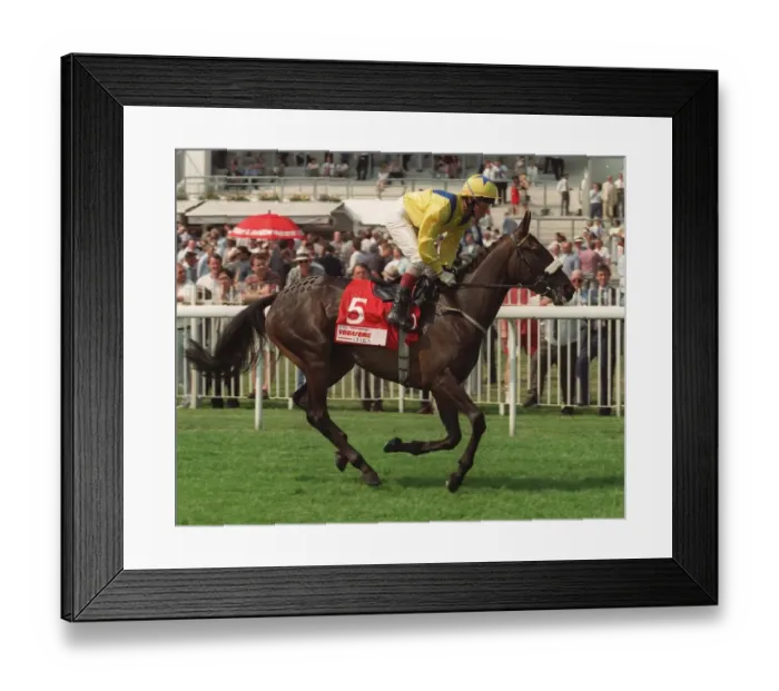 Framed Print : Identify Ridden By M.Kinane 26 June 1996 Date: 26 June 1996 Framed Print : Identify Ridden By M.Kinane 26 June 1996 Date: 26 June 1996