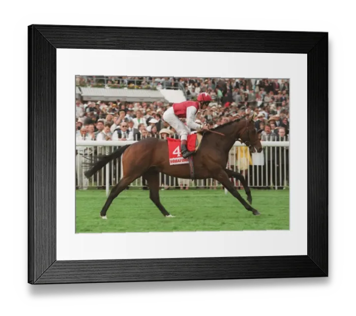 Framed Print : Swain Ridden By L.Dettori 26 June 1996 Date: 26 June 1996 Framed Print : Swain Ridden By L.Dettori 26 June 1996 Date: 26 June 1996