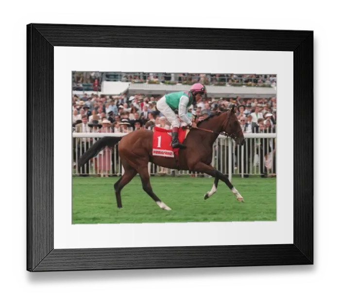 Framed Print : De Quest Ridden By Pat Eddery 26 June 1996 Date: 26 June 1996 Framed Print : De Quest Ridden By Pat Eddery 26 June 1996 Date: 26 June 1996