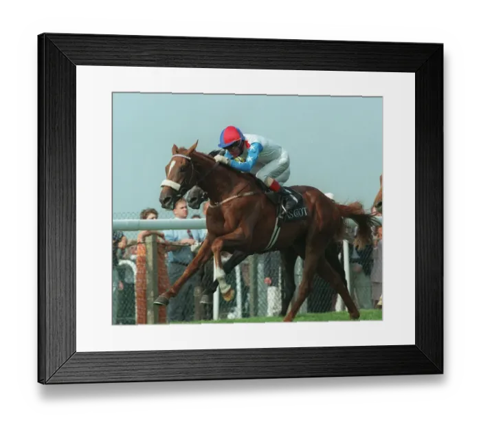 Framed Print : Gordi Wins Queens Vase 19. 6. 96 Framed Print : Gordi Wins Queens Vase 19. 6. 96
