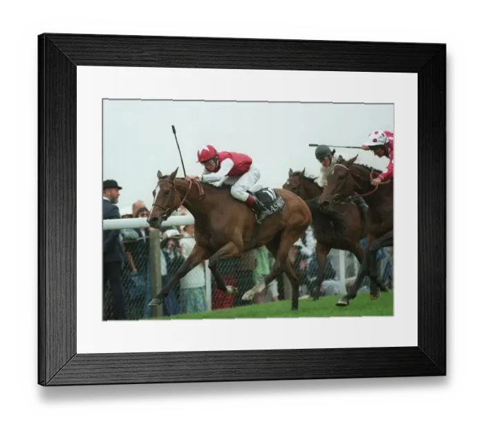 Framed Print : Tulipa Wins Ribblesdale Stks Framed Print : Tulipa Wins Ribblesdale Stks