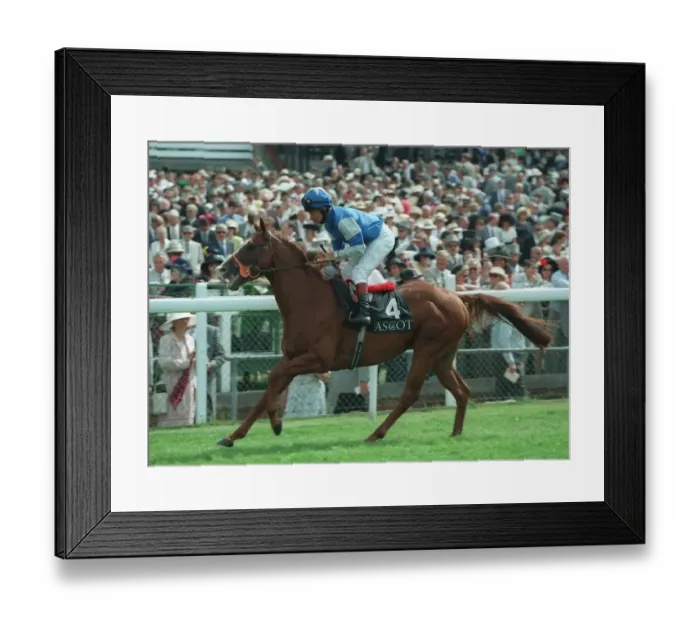 Framed Print : Cayman Ridden By Pat Eddery 09 July 1996 Date: 09 July 1996 Framed Print : Cayman Ridden By Pat Eddery 09 July 1996 Date: 09 July 1996