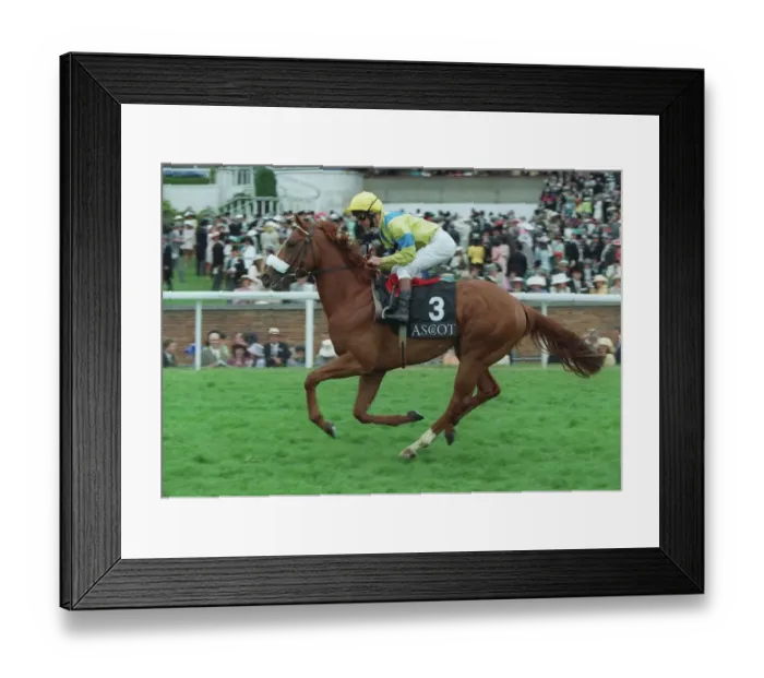 Framed Print : Grand Lad Ridden By R.Hills 09 July 1996 Date: 09 July 1996 Framed Print : Grand Lad Ridden By R.Hills 09 July 1996 Date: 09 July 1996