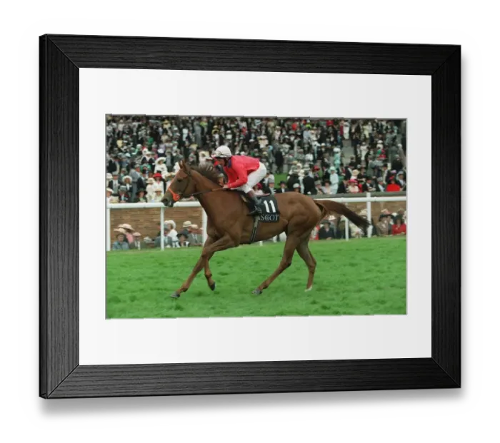 Framed Print : Arethusa Ridden By M.Roberts 09 July 1996 Date: 09 July 1996 Framed Print : Arethusa Ridden By M.Roberts 09 July 1996 Date: 09 July 1996