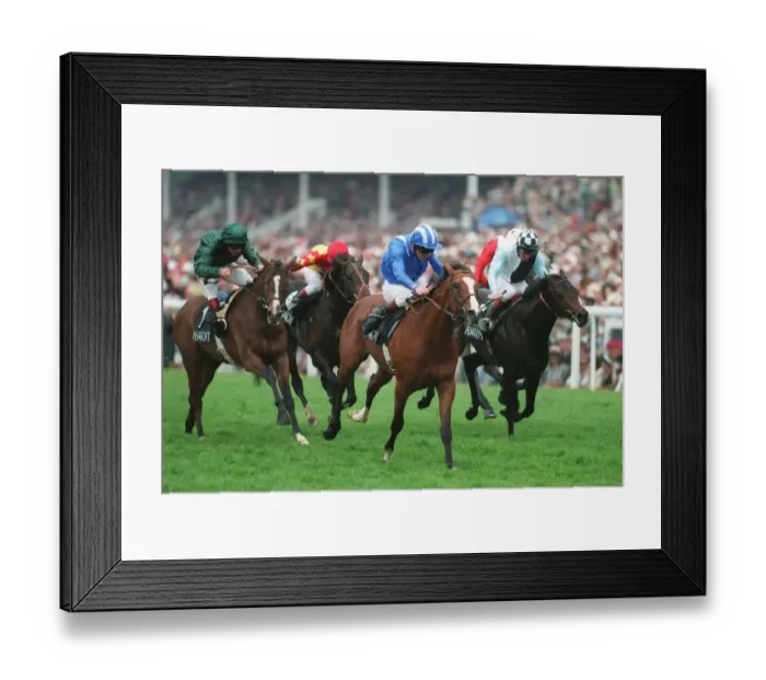 Framed Print : Shamikh Wins Chesham Stks Framed Print : Shamikh Wins Chesham Stks
