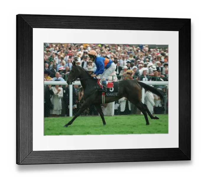 Framed Print : Shake The Yoke Framed Print : Shake The Yoke